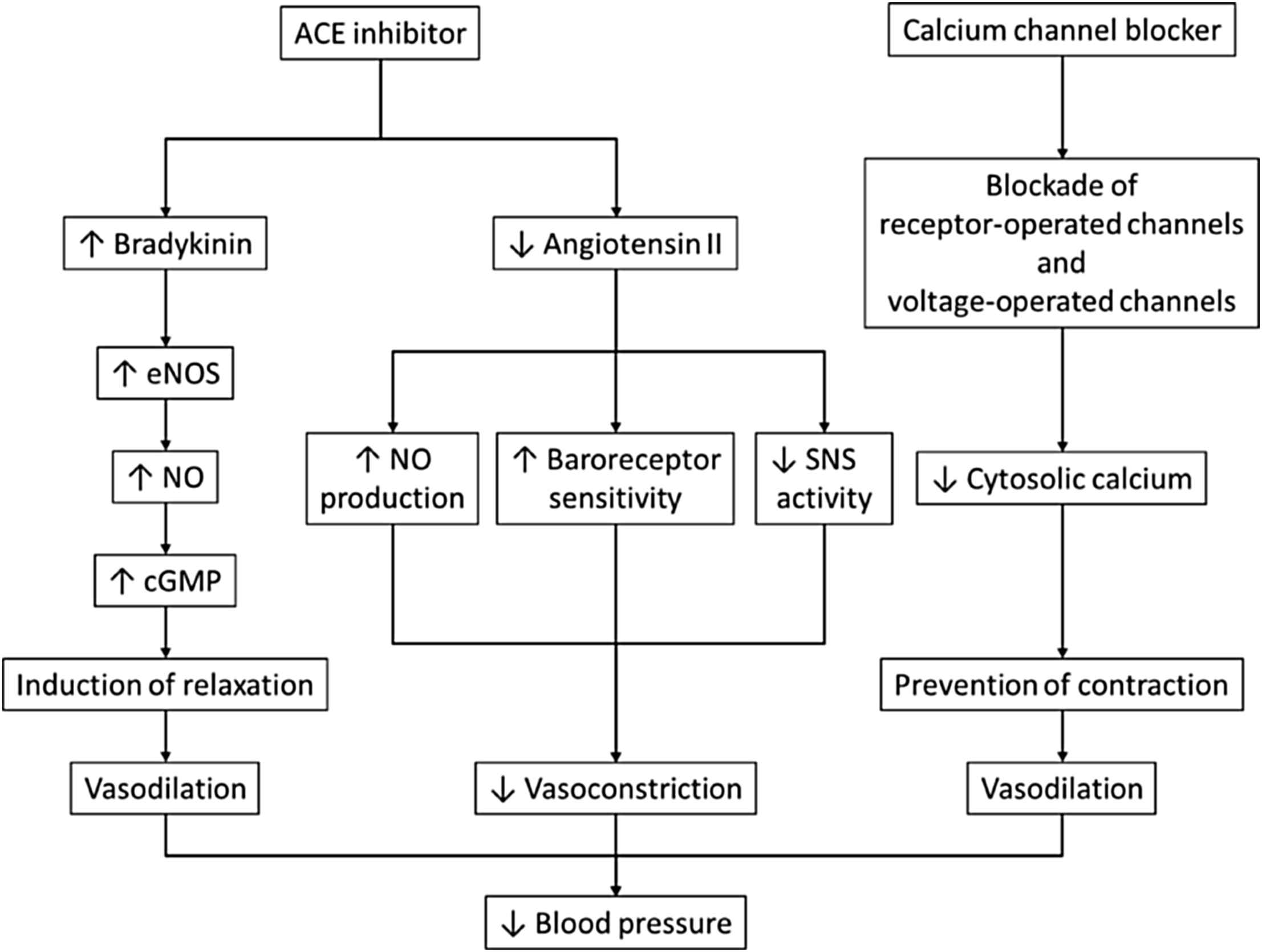 Ace Inhibitor Comparison Chart