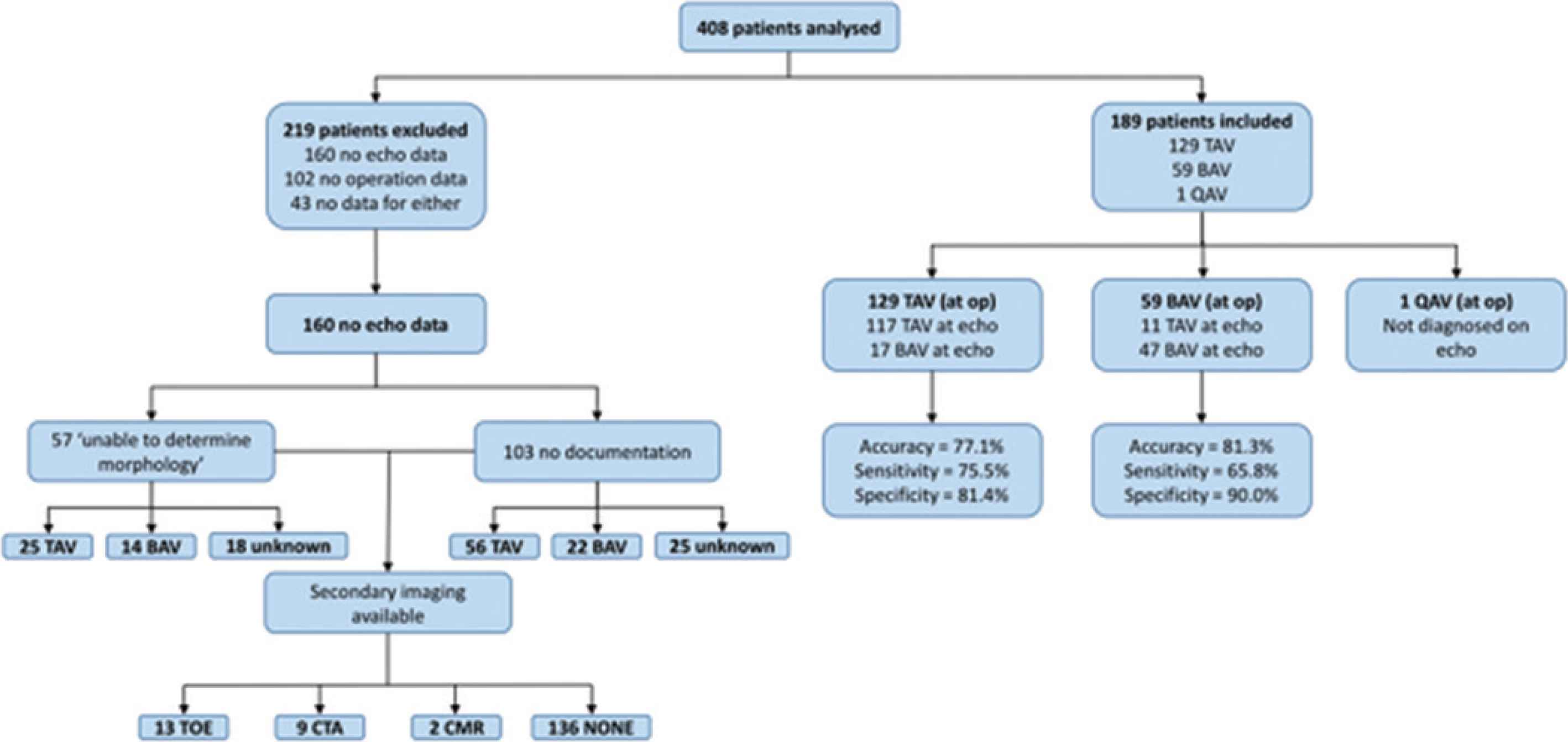 Realworld Accuracy of Transthoracic Echocardiography in Diagnosing