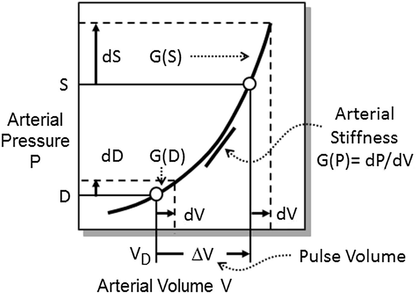 P6.04 PULSE VOLUME HOMEOSTASIS AS A HYPOTHESIZED PRINCIPLE OF ARTERIAL